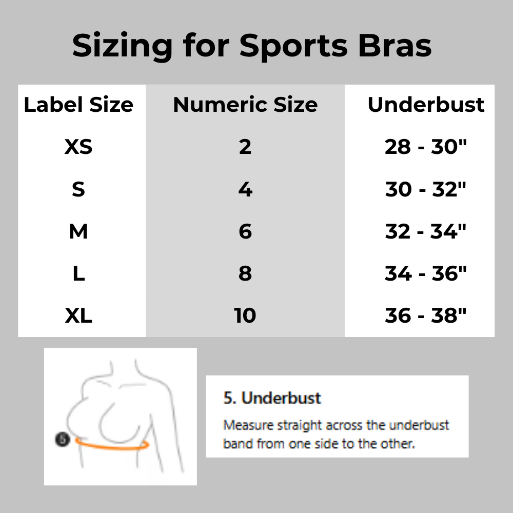 Workout Warrior Essential Sports Bra - Black / Bugundy / Blue