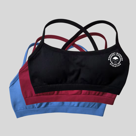 Workout Warrior Essential Sports Bra - Black / Bugundy / Blue